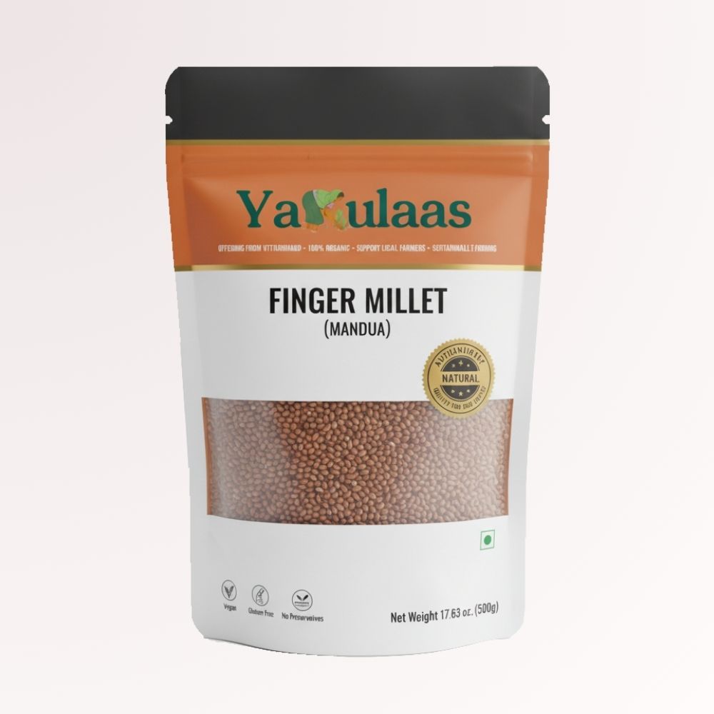Mandua Finger Millet 1 Mandua Finger Millet