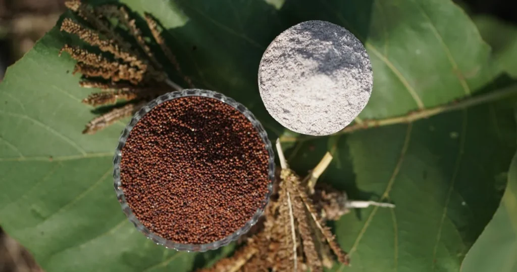 Ragi Benefits